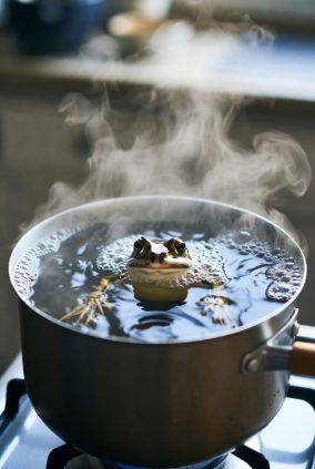 Broasca fiartă lent – lecția pe care o ignorăm atât în familie, cât și în societate