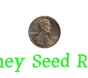 Money Seed Reiki